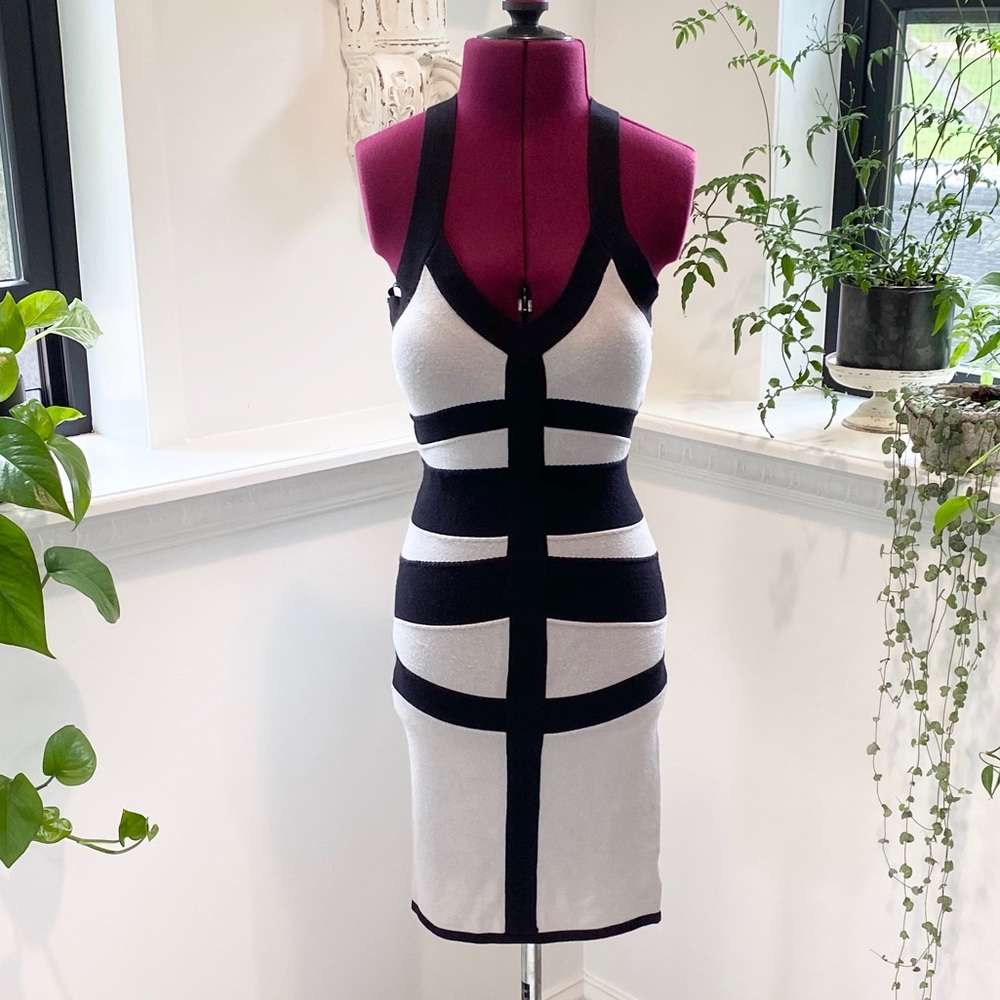 Fitted Bebe dress